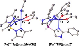 2011 Inorg Chem TOC